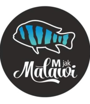 M -JAK MALAWI - Akwarystyka Polska