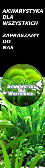 Akwarystyka dla wszystkich - największa w Polsce grupa akwarystyczna