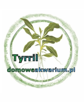 Tyrril-domoweakwarium.pl. Kanał YT.