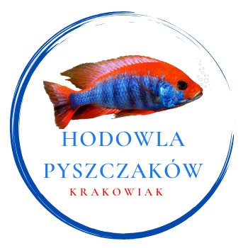 KRAKOWIAK - hodowla ryb akwariowych