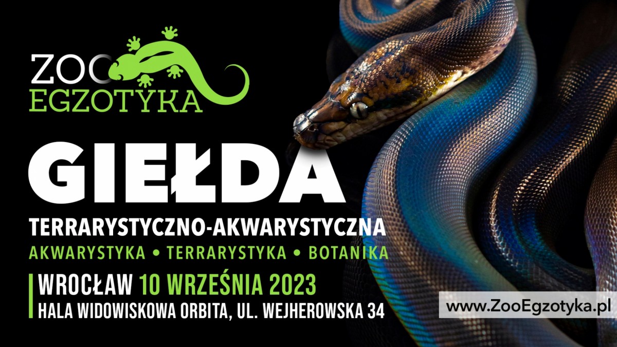 ZooEgzotyka Warszawa 03.09.2023 AD [10:00 - 16:00]