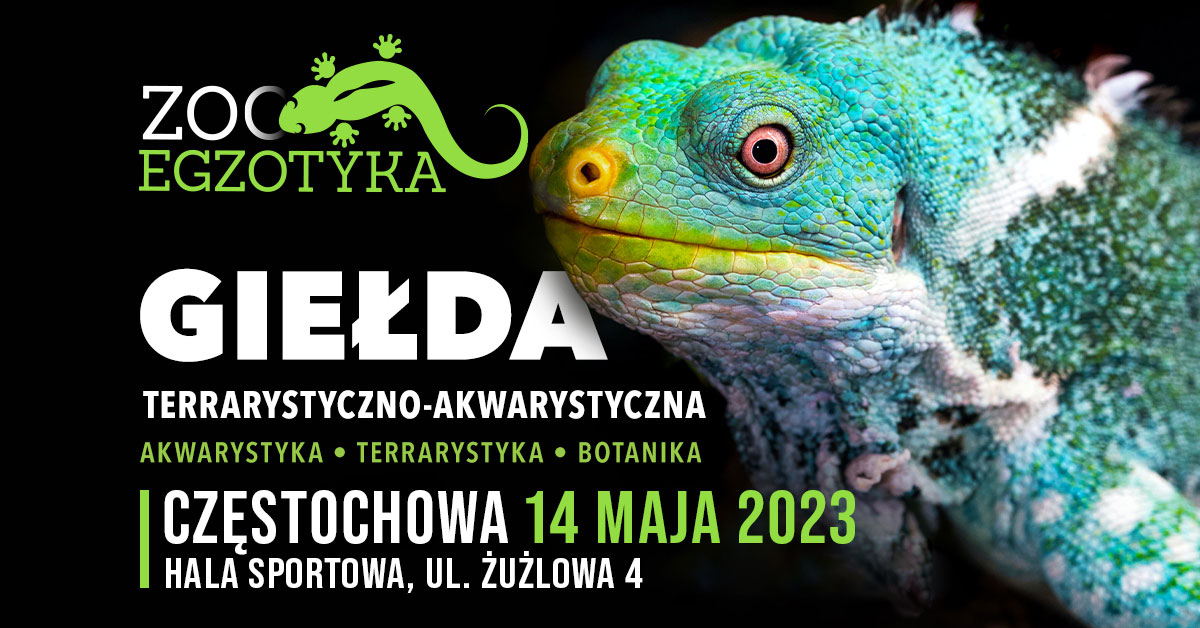 ZooEgzotyka Warszawa 03.09.2023 AD [10:00 - 16:00]