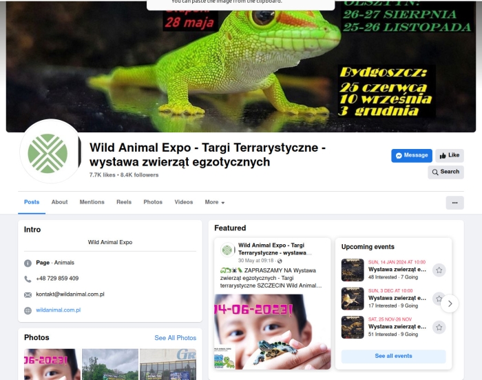 Wystawa zwierząt egzotycznych - Targi terrarystyczne SZCZECIN Wild Animal Expo 04.06.2023 AD