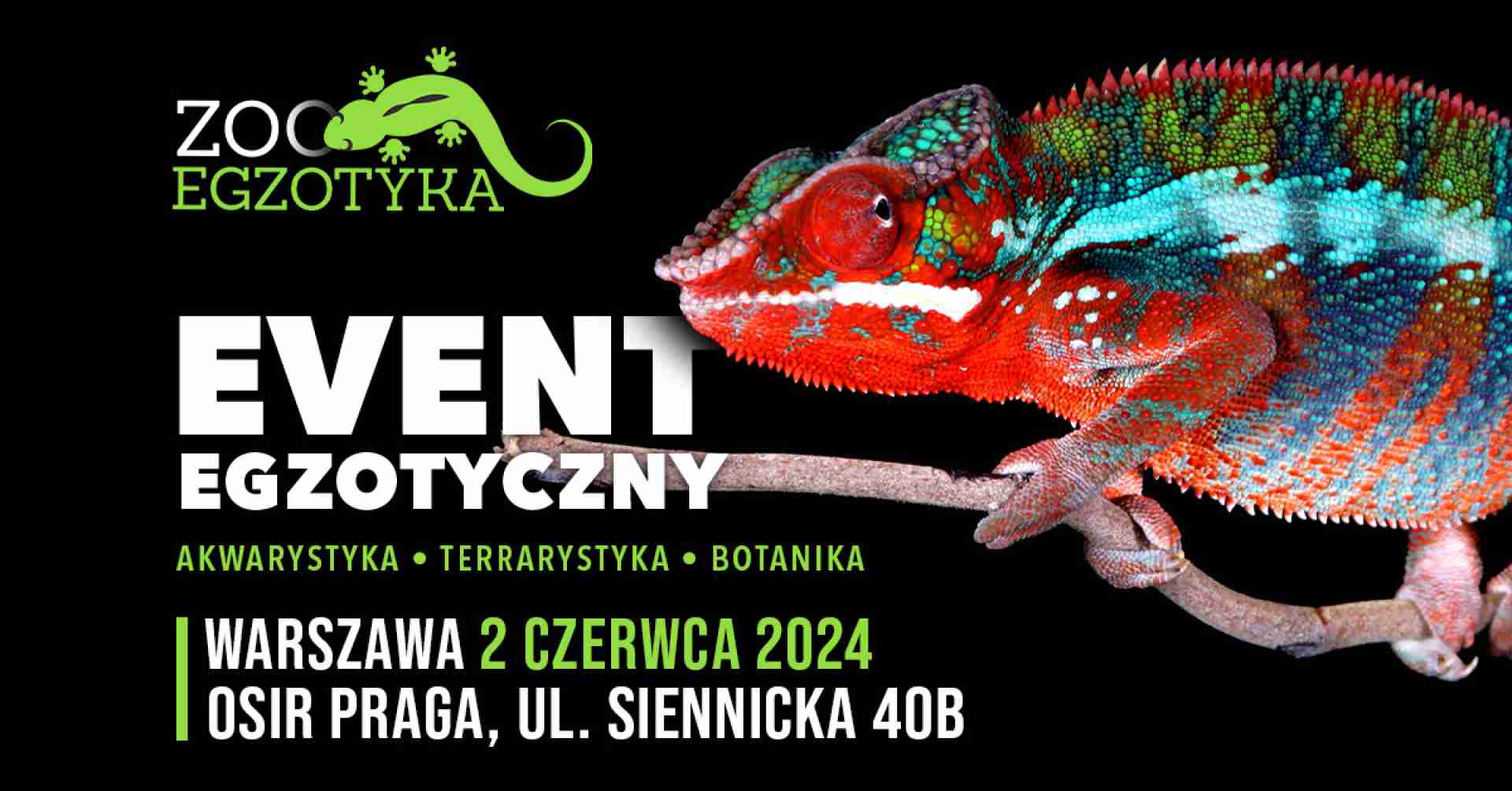 ZooEgzotyka Warszawa 02.06.2024 AD [10:00 - 16:00]